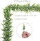 Artificial Vines Faux Eucalyptus Garland, 2 Pack Fake Eucalyptus Greenery Garland Wedding Backdrop Arch Wall Decor, 6 Feet/pcs Fake Hanging Plant for Table Festival Party Decorations